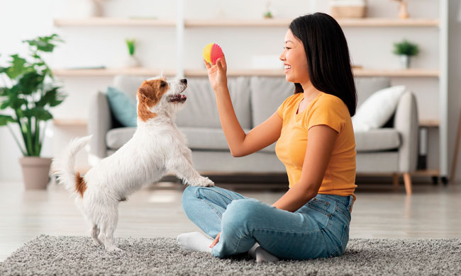 Bonding with Your Four-Legged Friend