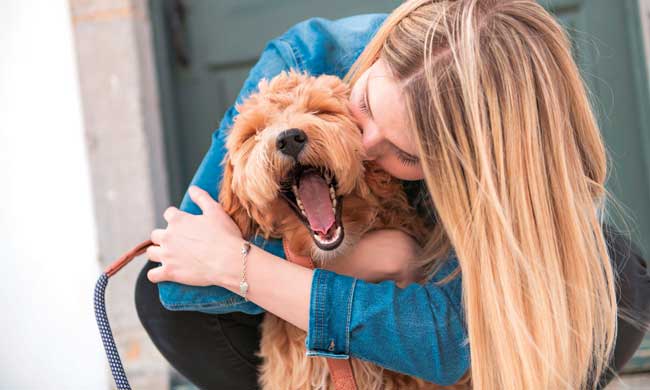 How to Support Your Pet’s Health During Summer