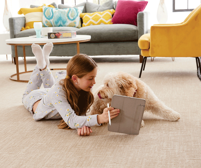 Creating a Pet-Friendly Palace