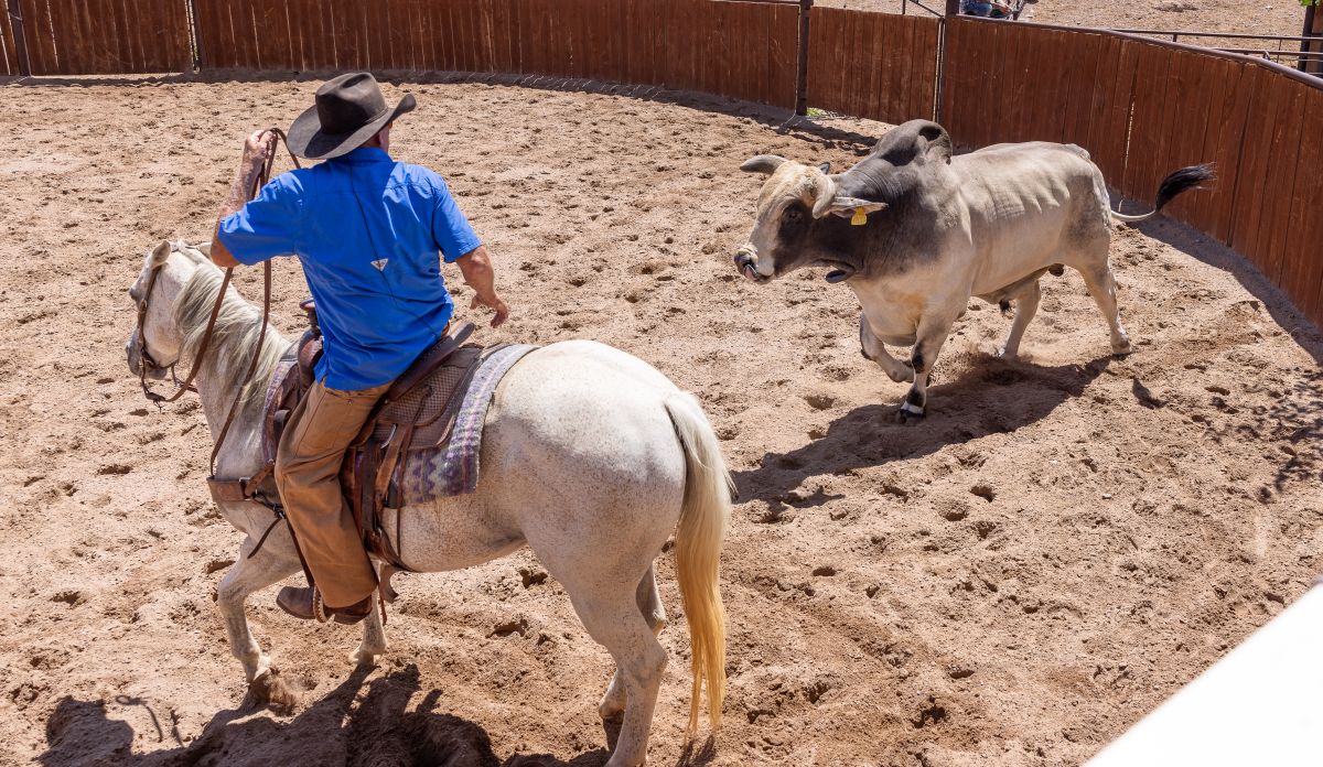 25th Annual Cowboy Days rides into town on March 8