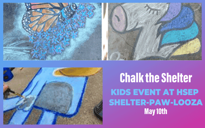 Chalk the Shelter.KIDS EVENT AT HSEP SHELTER-PAW-LOOZA