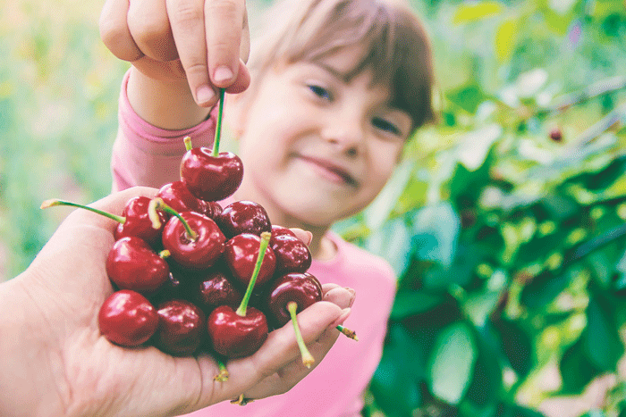 Choose Fresh Cherries for Healthy and Sweet Back-to-School Snacking