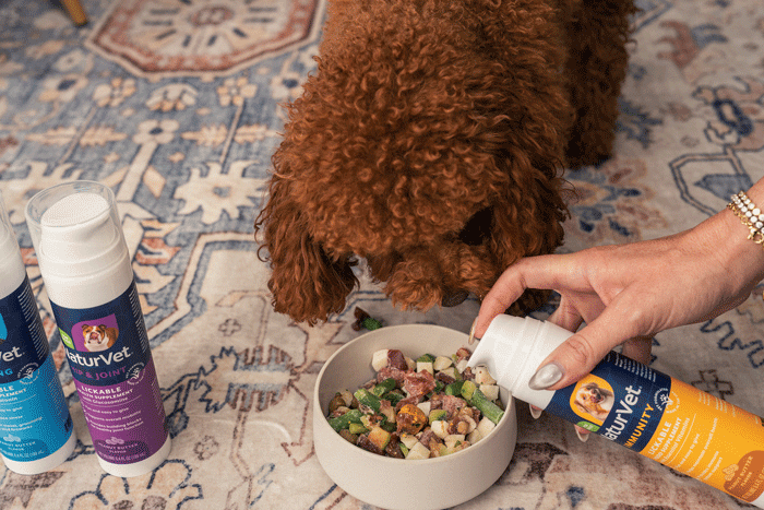 Healthy Habits Made Easy: Update Your Pet’s Health and Wellness Routine Without Fuss