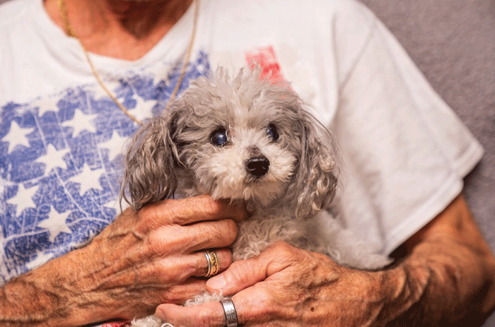 Cost Management for a Healthy, Happy Furry Friend: 5 Ways to Save Money While Giving Your Pet Excellent Care