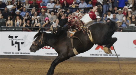 Rodeo El Paso