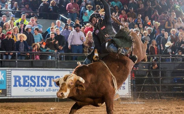 Tuff Hedeman Bull Riding  Returns to El Paso for 17th Consecutive Year